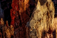 Elemental Reign