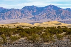 Mesquite Flat Sand Dunes