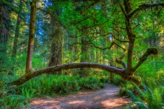 Life Obstacles
