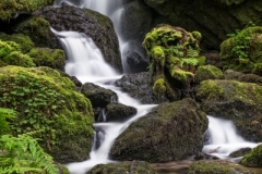 Trillium Falls