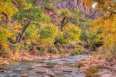 Zion Watchman